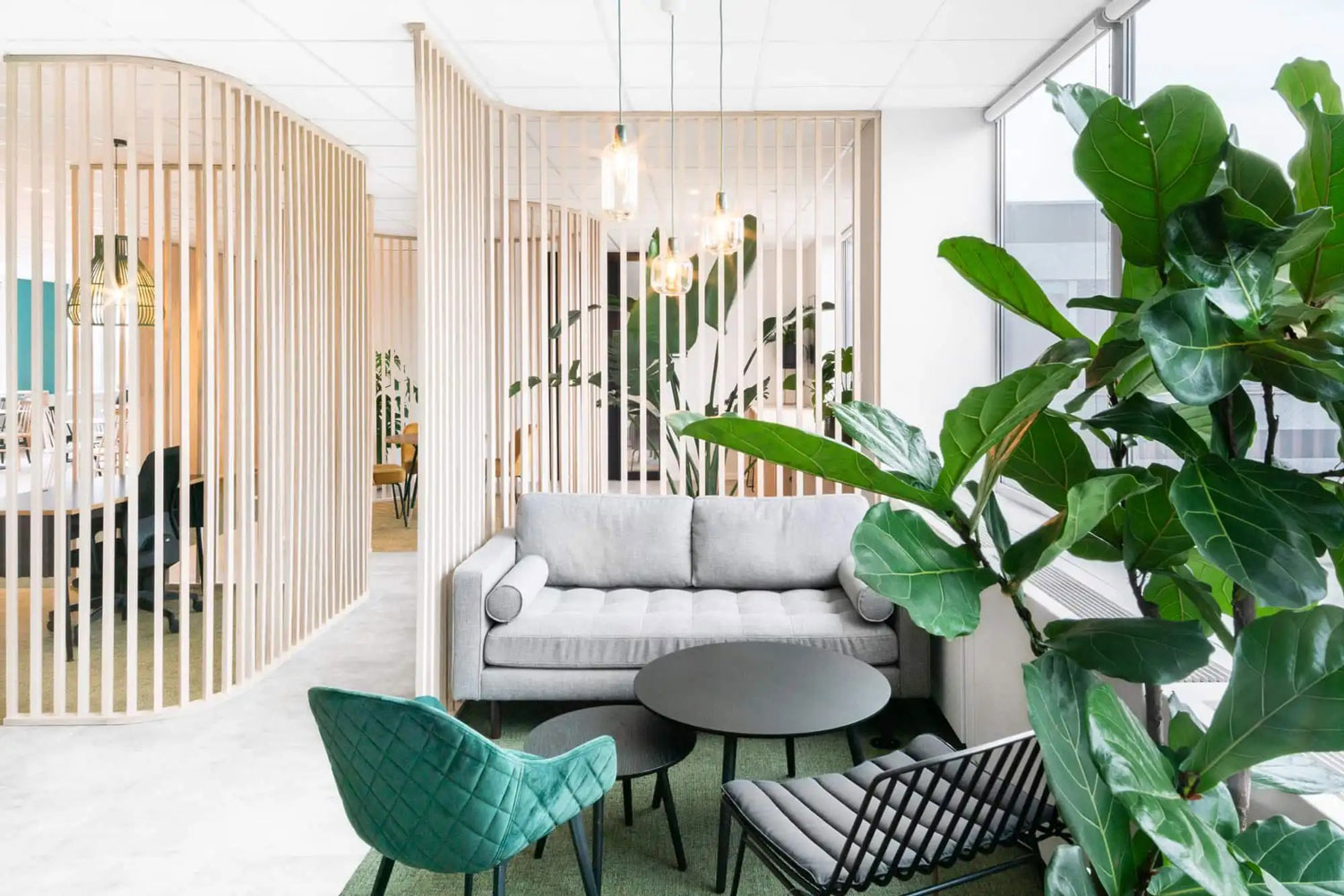 بیوفیلیک دیزاین (Biophilic Design)